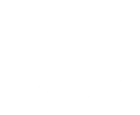 Badger 3D